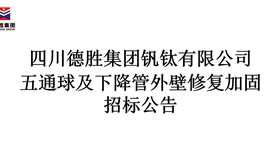 五通球及降落管外壁修复加固 招标布告