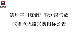 太阳成集团tyc151cc炼钢厂转炉煤气放散塔点火器招标项目