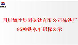 四川太阳成集团tyc151cc钒钛有限公司炼铁厂95吨铁水车招标公示