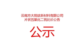 20266181823419436_273-158 云南方大钒钛新资料有限公司片状五氧化二钒比价布告